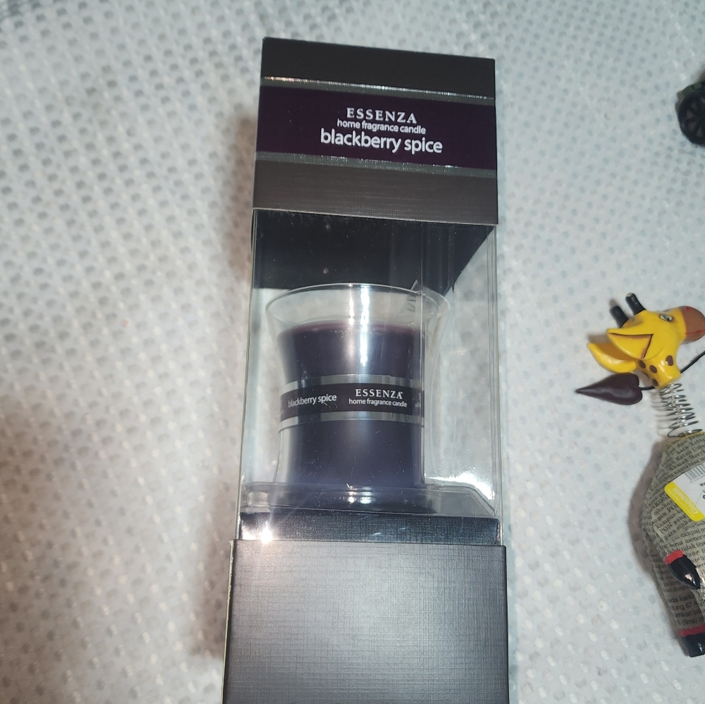 ESSENZA NWT BLACKBERRY SPICE  HOME FRAGRANCE CANDLE